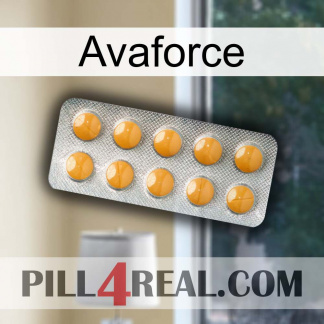 Avaforce levitra1